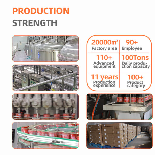 100% Puree Tomato Paste Ketchup