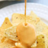 Bulk Bottled Cheddar Cheese Sauce