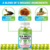 H335f990415f14d72be8c87e51b5a6bddb.jpg_720x720q50.jpg Organic Sea Moss Bladderwrack Gummies