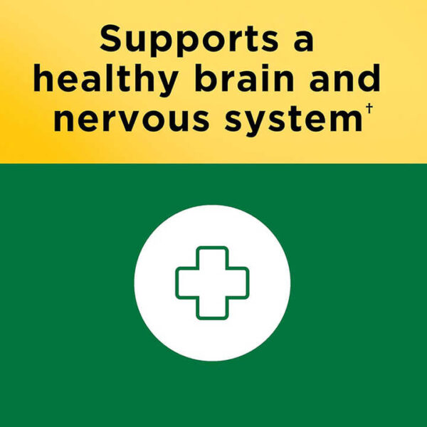 Vegan Brain Support Vitamin Tablets